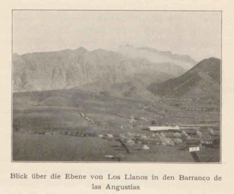Los Llanos de Aridane